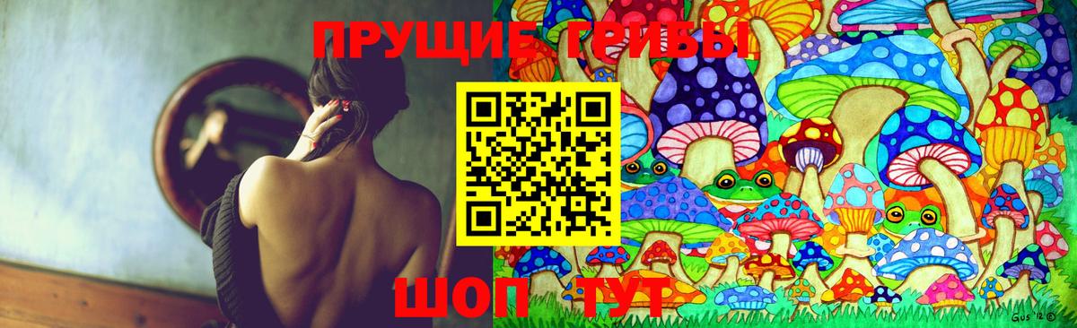 Галлюциногенные грибы GOLDEN TEACHER  Галлюциногенные грибы прущие грибы  Унеча  дарнет шоп  Вход с VPN 